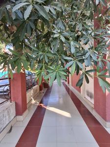 Image of 1600 Sq.ft 3 BHK Villa for sale in New Alkapuri, Vadodara for Rs. 14500000