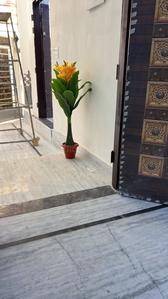 Image of 1050 Sq.ft 6 BHK Independent House for sale in Omaxe City, Lucknow for Rs. 6500000