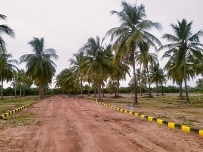 Image of 1500 Sq.ft Residential Plot / Land for sale in Melur, Madurai for Rs. 1200000