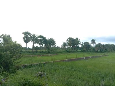 Residential plot Sonarpur Plot View 2