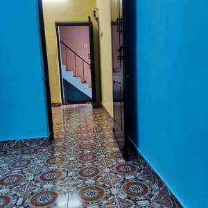 Image of 250 Sq.ft 1 BHK Apartment / Flat for rent in Kotturpuram, Chennai for Rs. 9000