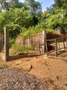 Image of 216 Sq.ft Residential Plot / Land for sale in Canca, Goa for Rs. 9900000