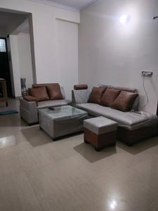 Hall Image of Homely PG in Sector 102, Noida