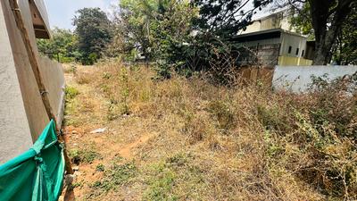 Antharasanahalli Plot View 2