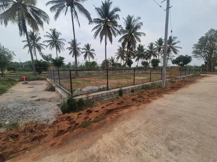 Rabindranath Tagore Nagar Main Image 1