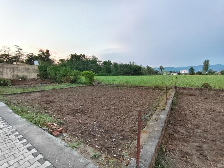 Doiwala Main Image 1