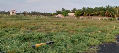 Image of 7200 Sq.ft Residential Plot / Land for sale in Mugaiyur, Chennai for Rs. 10500000