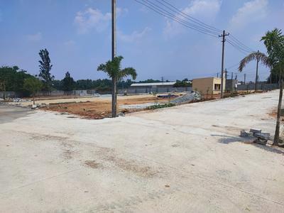 Thyme Park Plot View 2