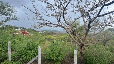 Image of 3000 Sq.ft Residential Plot / Land for sale in Bhukum, Pune for Rs. 4500000