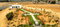 RWD Spotlight Main Image 1