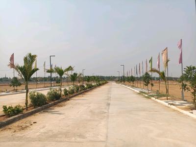 Century Nature City Internal Roads 1