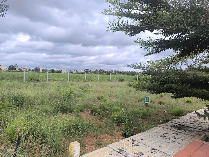 Devanahalli Main Image 1