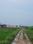 Mohabbat Pur Plot View 2