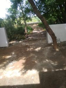 Image of 1250 Sq.ft 2 BHK Independent House for rent in Viraganoor, Madurai for Rs. 12000