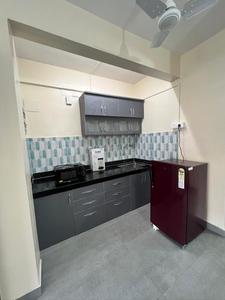 Kitchen Image of 560 Sq.ft 1 BHK Apartment / Flat for rent in Sangamvadi Pune for Rs. 35000
