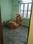 Ram Nagar Colony Tilak Nagar Aishbagh Lucknow  Bedroom 2
