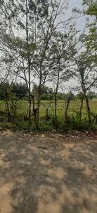 Image of 36000 Sq.ft Residential Plot / Land for sale in Falta, Kolkata for Rs. 17000000