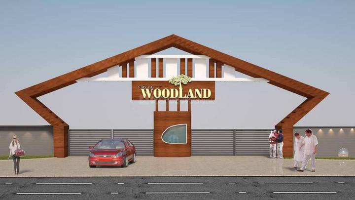 Pacheda 1 Main Image 1