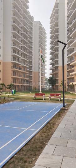 ROF Amaltas Main Image 1