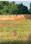 Vikas township Plot View 2