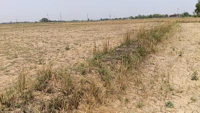 Image of 1800 Sq.ft Residential Plot / Land for sale in Chakeri, Kanpur for Rs. 500000