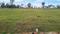 Sree Sapthamathruka Layout Phase 3 Main Image 1