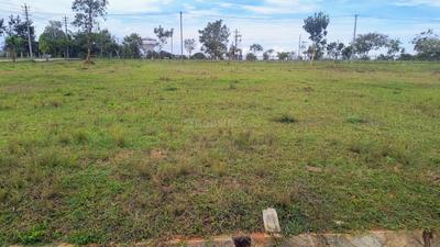 Sree Sapthamathruka Layout Phase 3 Plot View 1