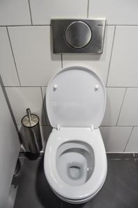 Bathroom Image of 2500 Sq.ft 4 BHK Apartment / Flat for rent in Tilak Nagar Jaipur for Rs. 68000