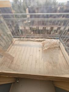 Balcony Image of 680 Sq.ft 2 BHK Apartment / Flat for rent in Adani Aangan, Sector 89A Gurgaon for Rs. 18000