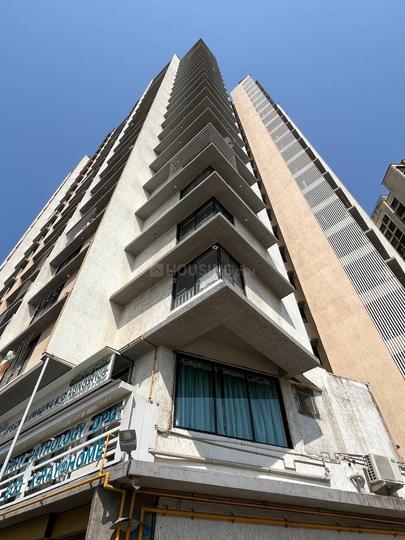 crystal armus Main Image 1