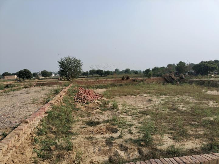 Virasat Royal Paradise City Main Image 1