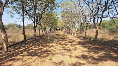 Image of 1250 Sq.ft Residential Plot / Land for sale in Old Dhamtari Road, Raipur for Rs. 1498000
