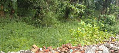 Image of 1832 Sq.ft 12 BHK Farm House for rent in Ivytrade Baruipur Township, Baruipur, Kolkata for Rs. 250000