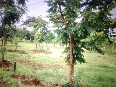 Ranjanpada Plot View 2