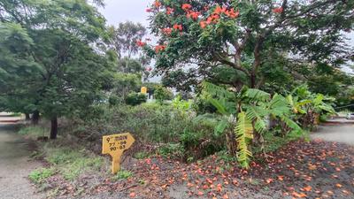 Image of 3200 Sq.ft Residential Plot / Land for sale in Doddaballapura, Bengaluru for Rs. 17000000