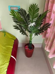 Balcony Image of 943 Sq.ft 2 BHK Apartment / Flat for sale in Gora Bazar Berhampore for Rs. 5500000