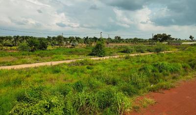 Image of 1200 Sq.ft Residential Plot / Land for sale in Chintamani Ganesh Vatika, Chhachhanpairi, Raipur for Rs. 2100000