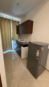 Kitchen Image of 800 Sq.ft 2 BHK Builder Floor for rent in Palam Vihar Gurgaon for Rs. 27000