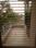 Balcony Image of PG 4194914 Sector 15 in Sector 15, Gurgaon