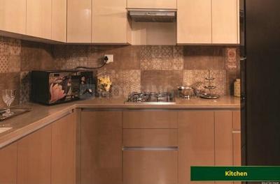 Kitchen Image of 2190 Sq.ft 4 BHK Apartment / Flat for sale in BPTP Terra, Sector 37D Gurgaon for Rs. 28900000