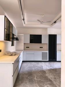 Kitchen Image of 4500 Sq.ft 4 BHK Builder Floor for sale in Vipul World, Sector 48 Gurgaon for Rs. 50000000