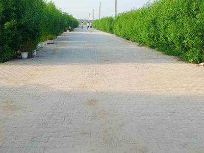 Image of 900 Sq.ft Residential Plot / Land for sale in Knowledge Park 3, Greater Noida for Rs. 3000000