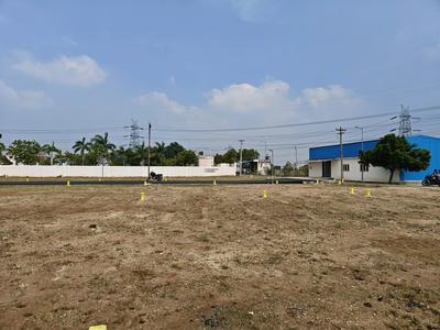 Residential Plot