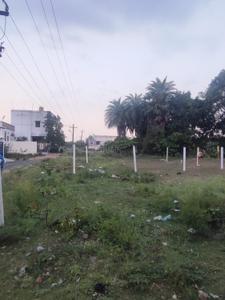 Image of 1850 Sq.ft Residential Plot / Land for sale in Adhanur, Chennai for Rs. 5550000