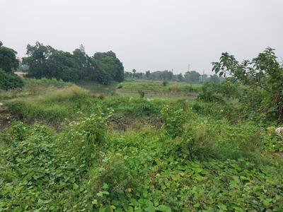 Image of 86400 Sq.ft Residential Plot / Land for sale in Baruipur, Kolkata for Rs. 120000000