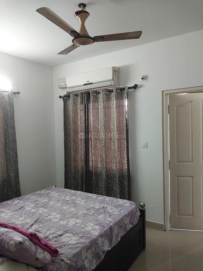 Plama Icon Main Image 1