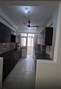 Kitchen Image of 2410 Sq.ft 4.5 BHK Apartment / Flat for sale in Amrapali Silicon City, Sector 76 Noida for Rs. 26500000