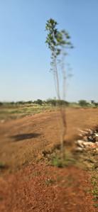 Image of 1000 Sq.ft Residential Plot / Land for sale in Kamal Vihar, Raipur for Rs. 1650000
