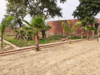 Image of 500 Sq.ft Residential Plot / Land for sale in Yeida, Greater Noida for Rs. 25000000