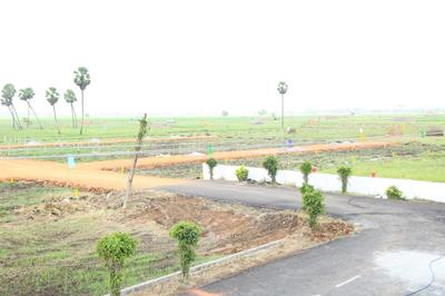 Image of 2244 Sq.ft Residential Plot / Land for sale in Machilipatnam, Krishna for Rs. 3750000